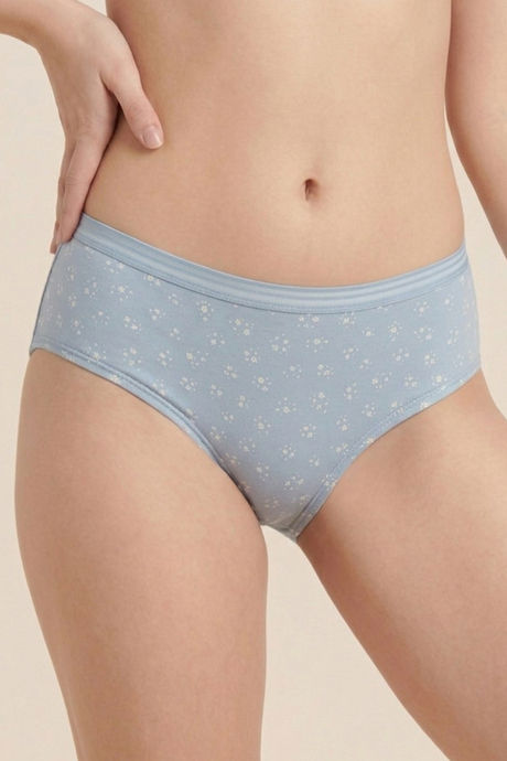 Zivame Regular Rise Full Coverage Hipster Panty (Pack of 3) - Multicolor — image 13